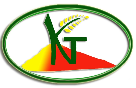 8. Kianen Group of Companies